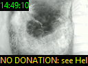 14:49:10