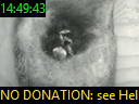 14:49:43