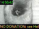 14:50:42
