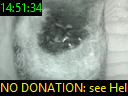 14:51:34