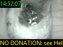 14:52:07