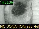 14:53:36