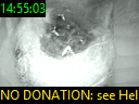 14:55:03