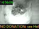 14:56:06