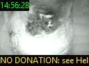 14:56:28