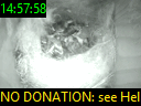 14:57:58