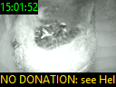 15:01:52