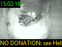 15:02:18