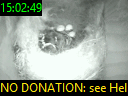 15:02:49