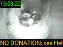 15:03:22