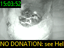 15:03:52