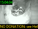 15:04:04