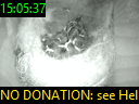 15:05:37