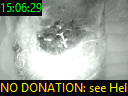 15:06:29