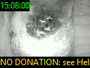 15:08:00
