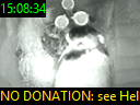 15:08:34