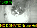 15:09:49