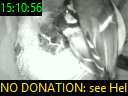 15:10:56