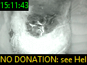 15:11:43