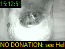 15:12:51