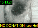 15:13:21