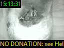 15:13:31