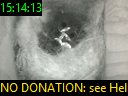 15:14:13