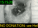 15:15:20