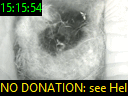 15:15:54