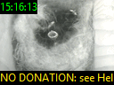 15:16:13