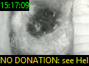 15:17:09