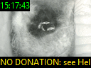 15:17:43