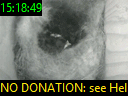 15:18:49