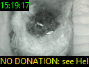 15:19:17