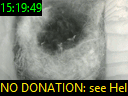 15:19:49