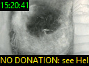 15:20:41