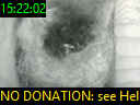 15:22:02