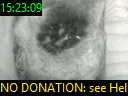 15:23:09