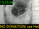 15:23:54