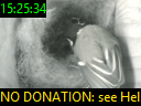 15:25:34