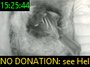 15:25:44