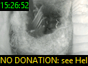 15:26:52