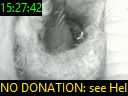 15:27:42