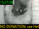 15:27:59