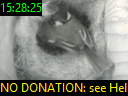 15:28:25