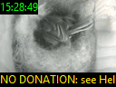 15:28:49