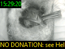 15:29:20