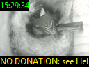 15:29:34