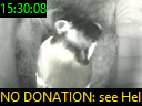 15:30:08