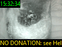 15:32:34